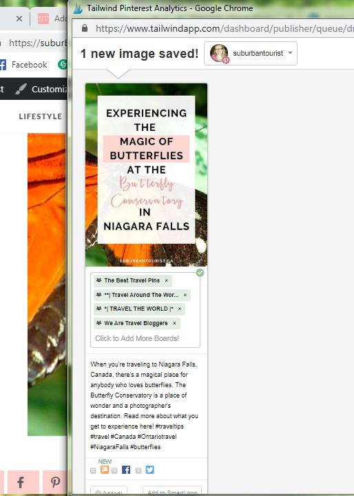 Five Tailwind Features For PInterest