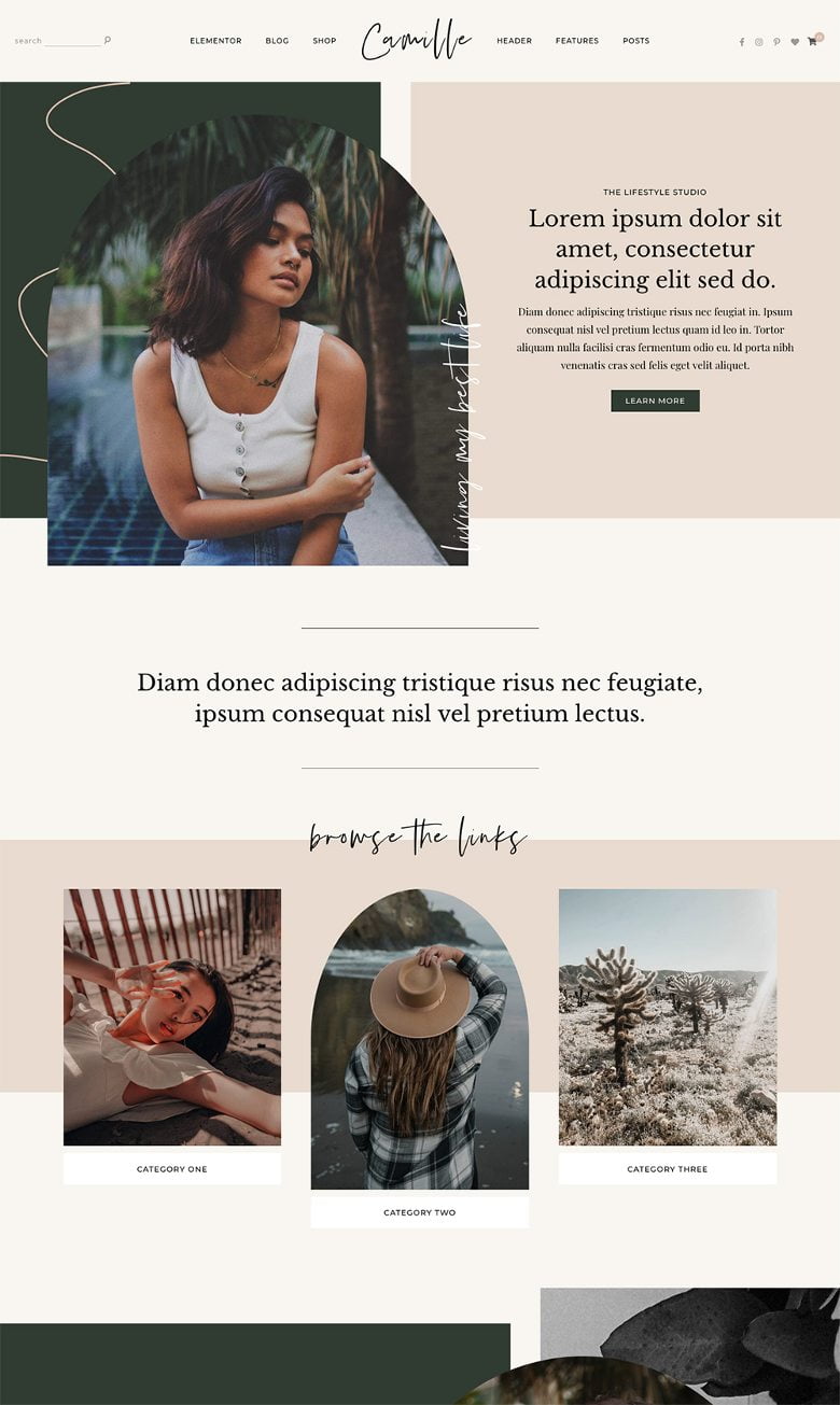 Best feminine wordpress themes - Camille theme from Pix and Hue.
