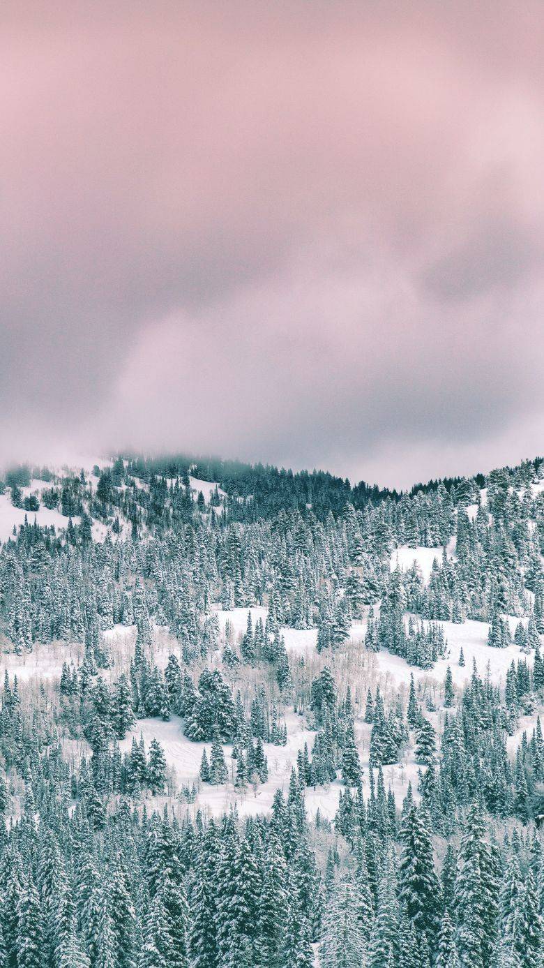 50+ Gorgeous Free Winter Wallpapers For IPhone (2023)